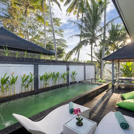 Capung Asri Eco Luxury Resort With Private Pool Villas Bedulu Exterior photo